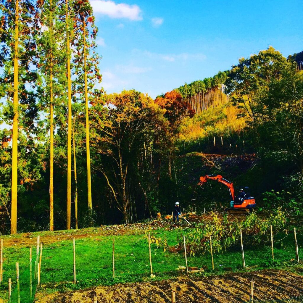 岡山県 樹木の伐採