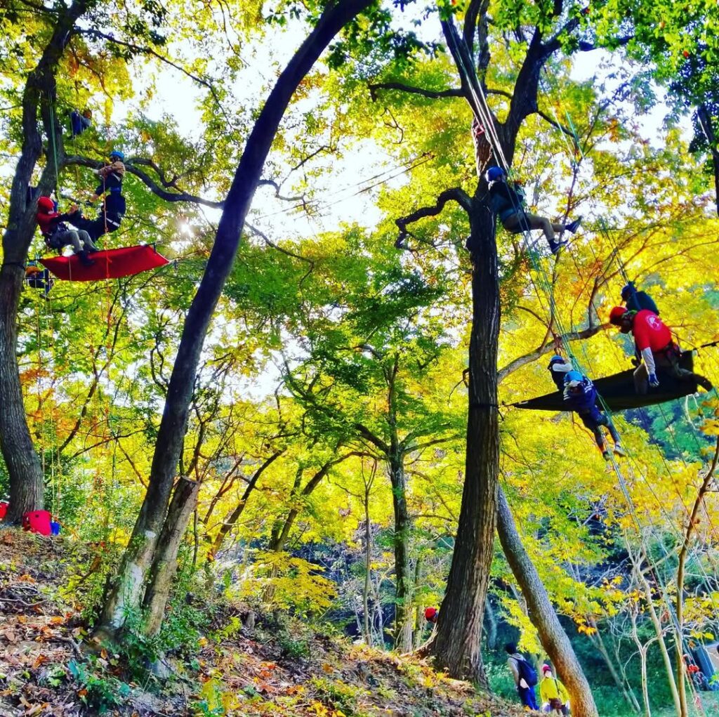 岡山県赤磐市でツリークライミングイベントを開催
