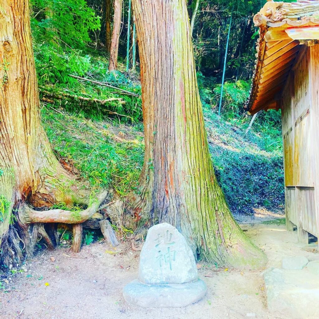 岡山県総社市の神社で枝下ろし作業