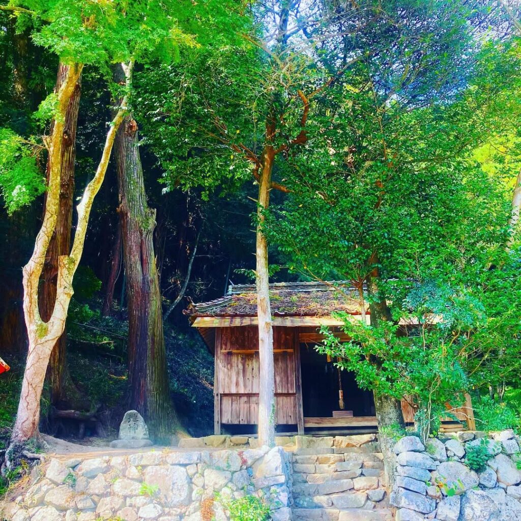 岡山県総社市の神社で枝下ろし作業