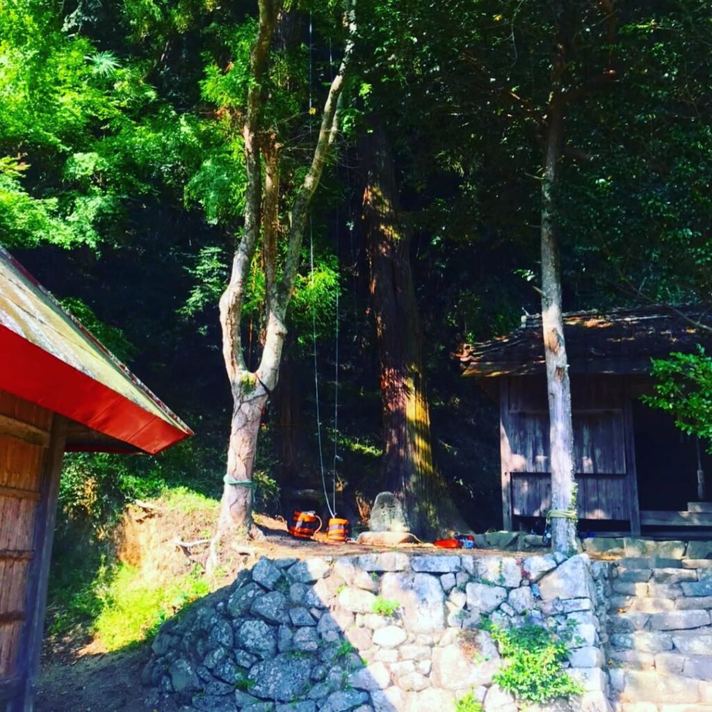 岡山県総社市の神社で枝下ろし作業