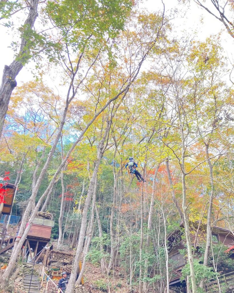兵庫県播磨自然高原で伐採作業