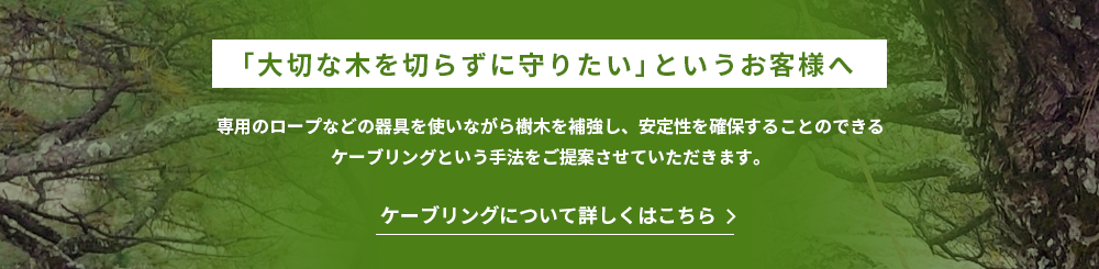 「大切な木を切らずに守りたい」というお客様へ