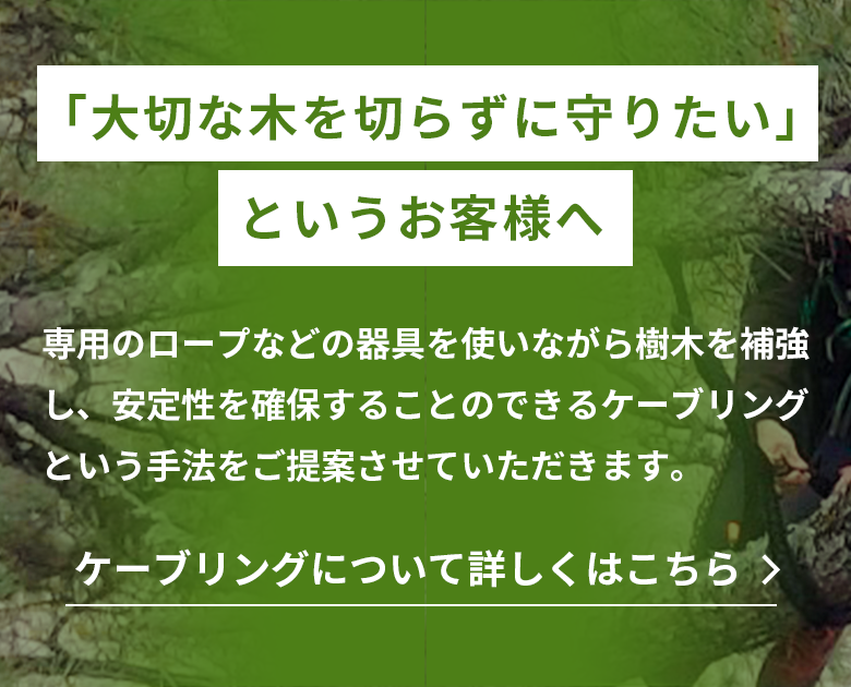 「大切な木を切らずに守りたい」というお客様へ