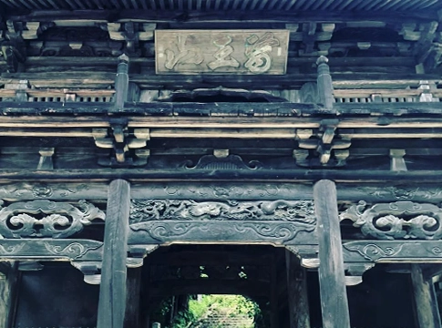 かわうち林業の特殊伐採・特殊剪定の事例