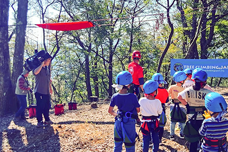 ツリークライミング体験イベント