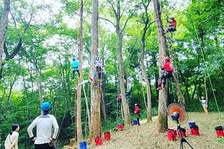 ツリークライミング体験イベント