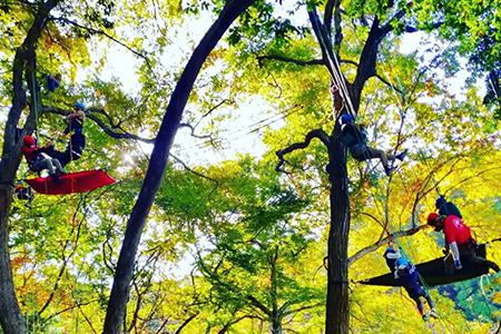 ツリークライミング体験イベント