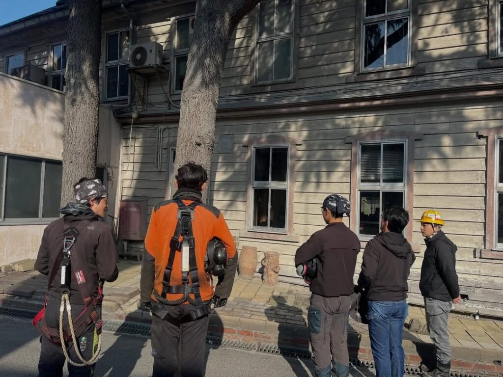 長年見守り続けた高木ヒマラヤスギの伐採